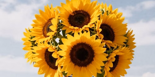 \u2728 Summer Glow Event | Rose & Glow Aesthetics x Radiant Beauty