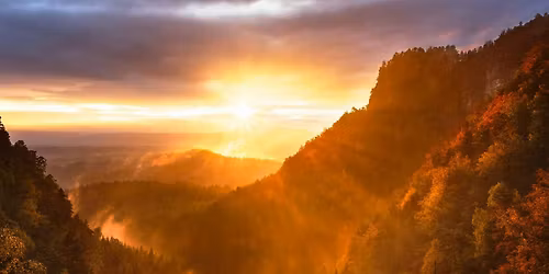 Reflect to Refocus with Gratitude and Grace