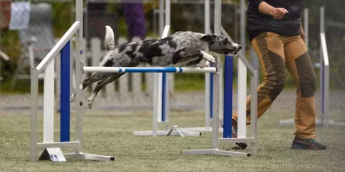 Handlingkurs med Line, 9.mai - FULLT