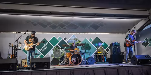 Bruja at Townie's Tavern Stuart