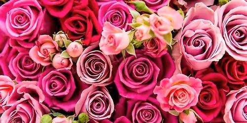 Basic Floral Design presented by the ND Floral Association
