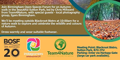 INSTAMEET SUTTON PARK