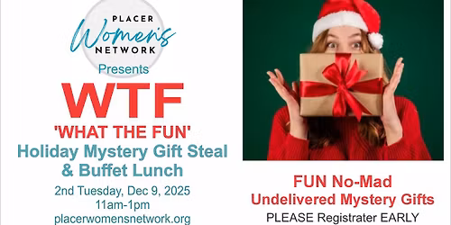 WTF - 'What The FUN' Holiday Mystery Gift Steel 