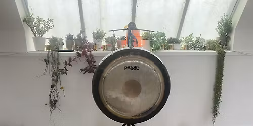 Cacao Ceremony and Symphonic Gong Bath