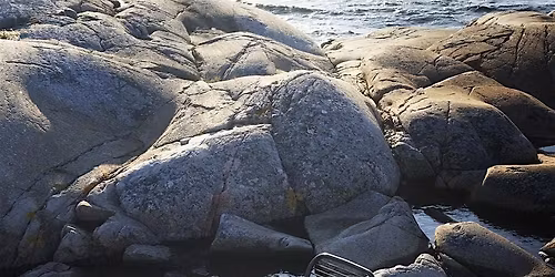 Spring Awakening hosted by Allsteel and Normann Copenhagen