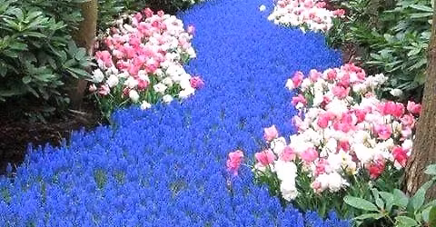 Healing Happens, Mini-retreat i p\u00e5sken 2026