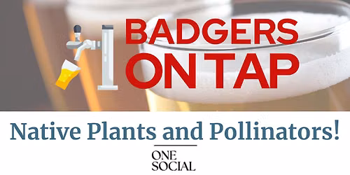 Badgers on Tap: Native Plants and Pollinators at One Social Food Hall in Madison, WI