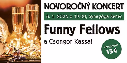 Novoro\u010dn\u00fd koncert