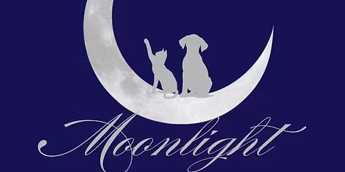 Whiskers in the Moonlight Gala Presented by BMW of Mobile