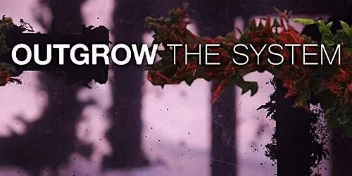Program 4: 'Outgrow the System' - Creating A Sustainable Economy