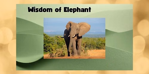 Elephant Wisdom Circle