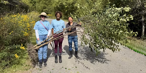 Acton Invasive Plant Removal