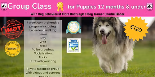 Puppy Primary School Stage 1 - under 12 months