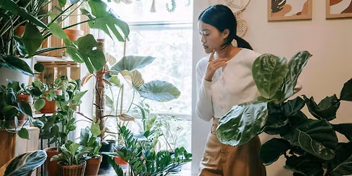 Nature & Wellness Series (Enola Connect)
