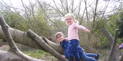 Family Event: Wild Story Quest 'The Puzzle Forest' (afternoon) - Sutton Courtenay, Thursday 19 February