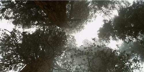 Piano Concert | Prophets in the Wilderness