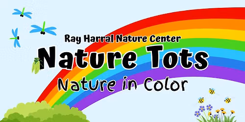 Nature Tots - Nature in Color