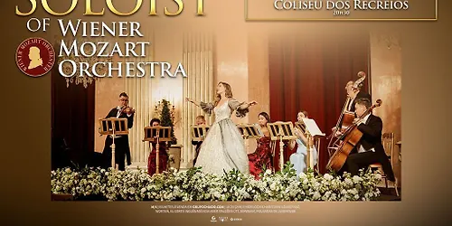 THE SOLOIST OF WIENER MOZART ORCHESTRA