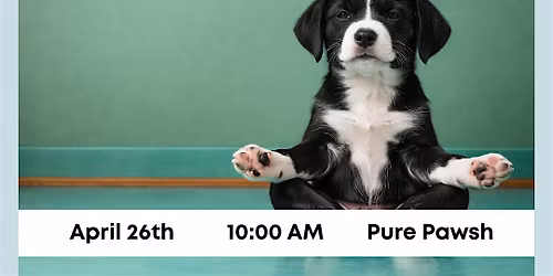 Puppy Sound Bath: Supporting The San Diego Humane Society