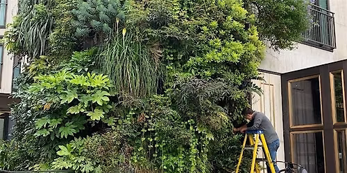 Business Breakfast: Build a Vertical Garden on Fleet Street