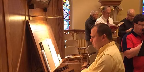 Tim Handle, Organ
