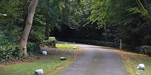 Reclaim Your Breath 2 day workshop