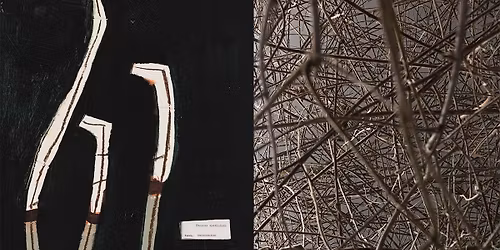 Exhibition Launch: The Body Language of Plants