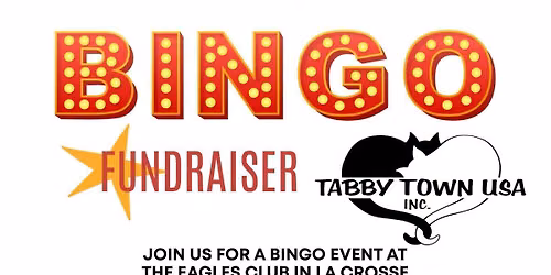 Bingo and More!