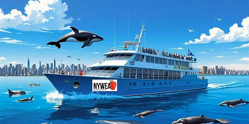 Whale, Dolphin & Seal Watching Adventure Cruise