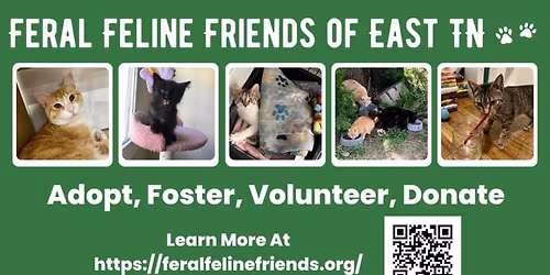 FFF Petsmart EMORY ROAD Adoption Event