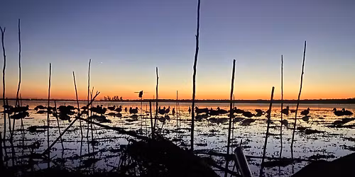 Alamo Delta Waterfowl 2nd Annual Clay Shoot