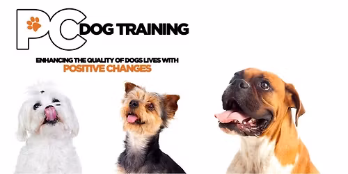 Puppy Pre-School at Positive Changes Dog Training