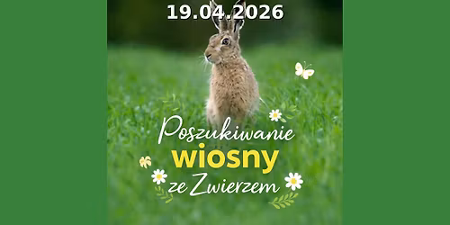 POSZUKIWANIE WIOSNY ZE ZWIERZEM - mini zawody nosework 