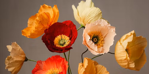 SOLD OUT - Art in Bloom: Crepe Paper Icelandic Poppies