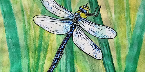 Watercolor for Adults
