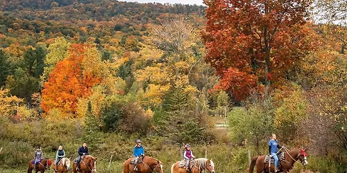 \ud83d\udc34 Horseback Trail Ride in the Smokies Getaway Package! \ud83c\udf04 $149 Per Couple