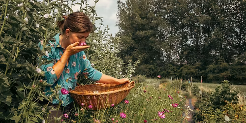 Visite sensorielle des jardins d'une tisani\u00e8re