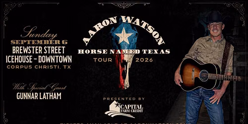 Aaron Watson @ Brewster Street Icehouse (Downtown)