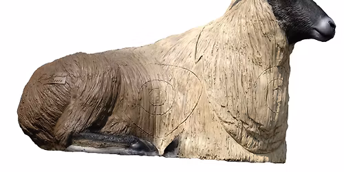 Warszawski Turniej \u0141uczniczy IFAA - Runda UAR oraz Hunter