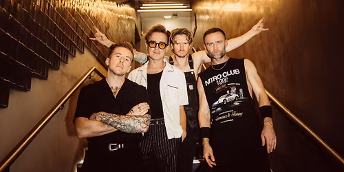 McFly - Cannock Chase