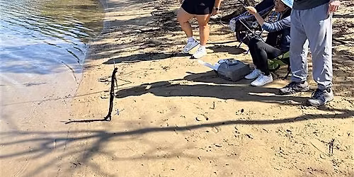 Seniors Fishing & Picnic Day at Clifton Gardens