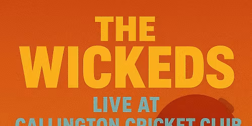 Wickeds Play Callington Cricket Club