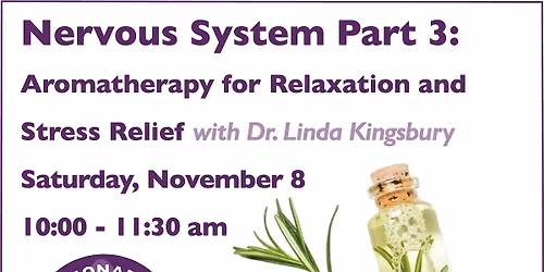 Nervous System Part 3: Aromatherapy for Relaxation and Stress Relief