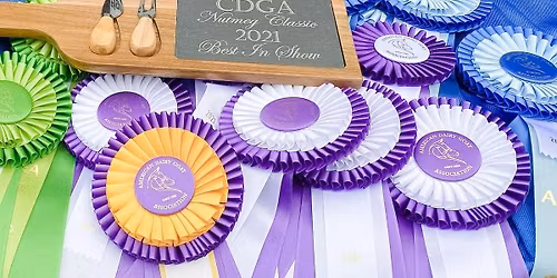 2026 CDGA Nutmeg Classic Dairy Goat Show