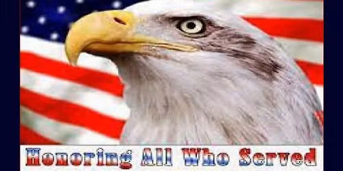 N.S.R. LIVE AT ALIBI'S VETERANS DAY CELEBRATION!