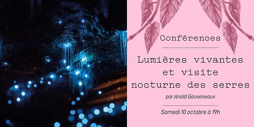 Conf\u00e9rence - Lumi\u00e8res vivantes et visite nocturne des serres