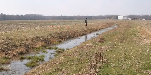 Biodiversity of Agricultural Drainage Ditches on the Eastern Shore