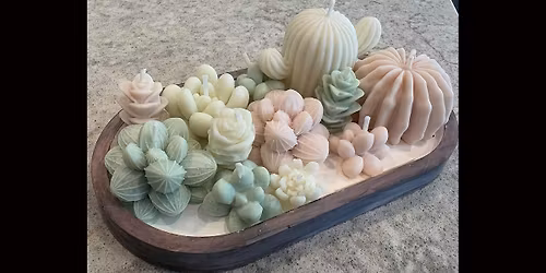Coastal Succulent Garden Workshop