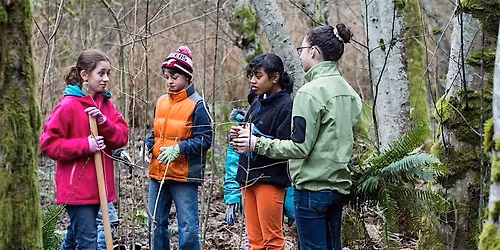 Native Planting at Dirksen Nature Park