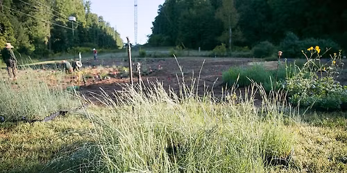 Grow Your Own Prairie in North Georgia